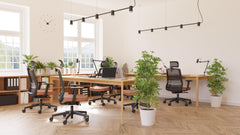 Biroja krēsls COCO HD Medley Black | WH | Chrome-Ergostock