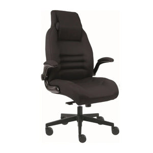 24H augstas izturības krēsls DISPOS (līdz 200 kg)-Ergostock