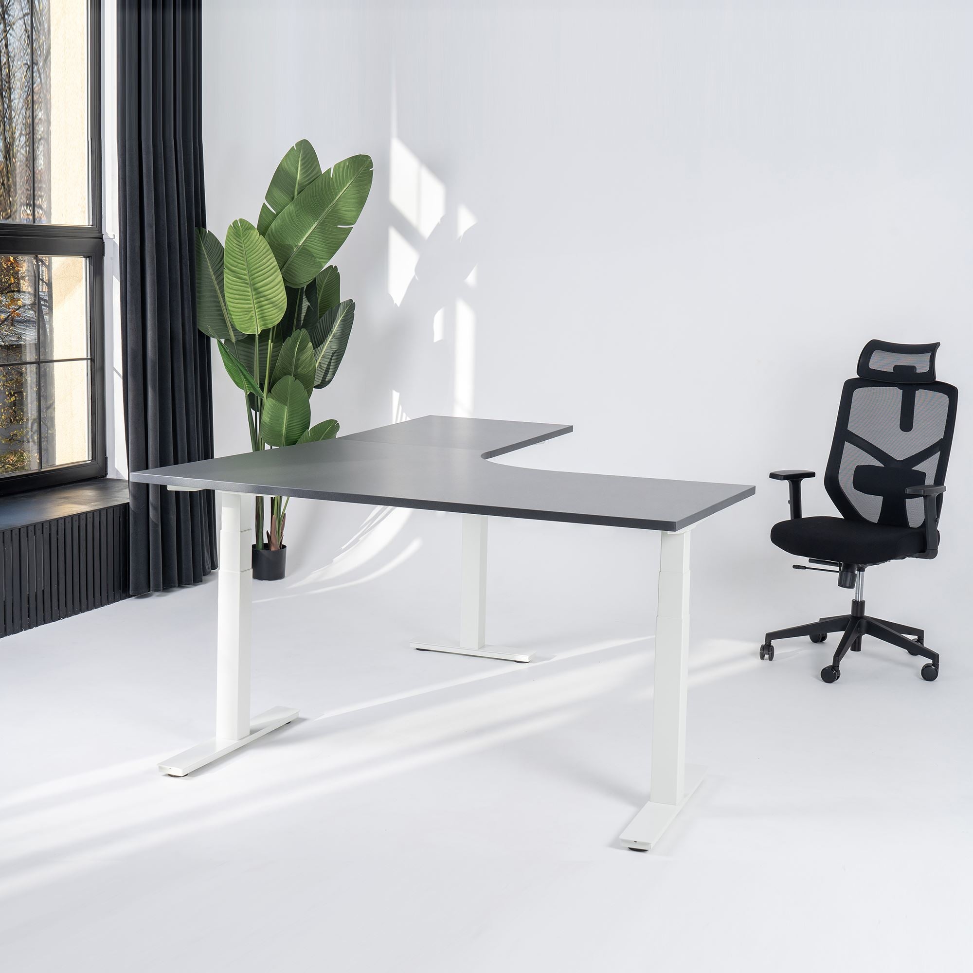 Elektriski augstumā regulējams galds Prestige Line L forma 160 cm x 120 cm - Ergostock.lv