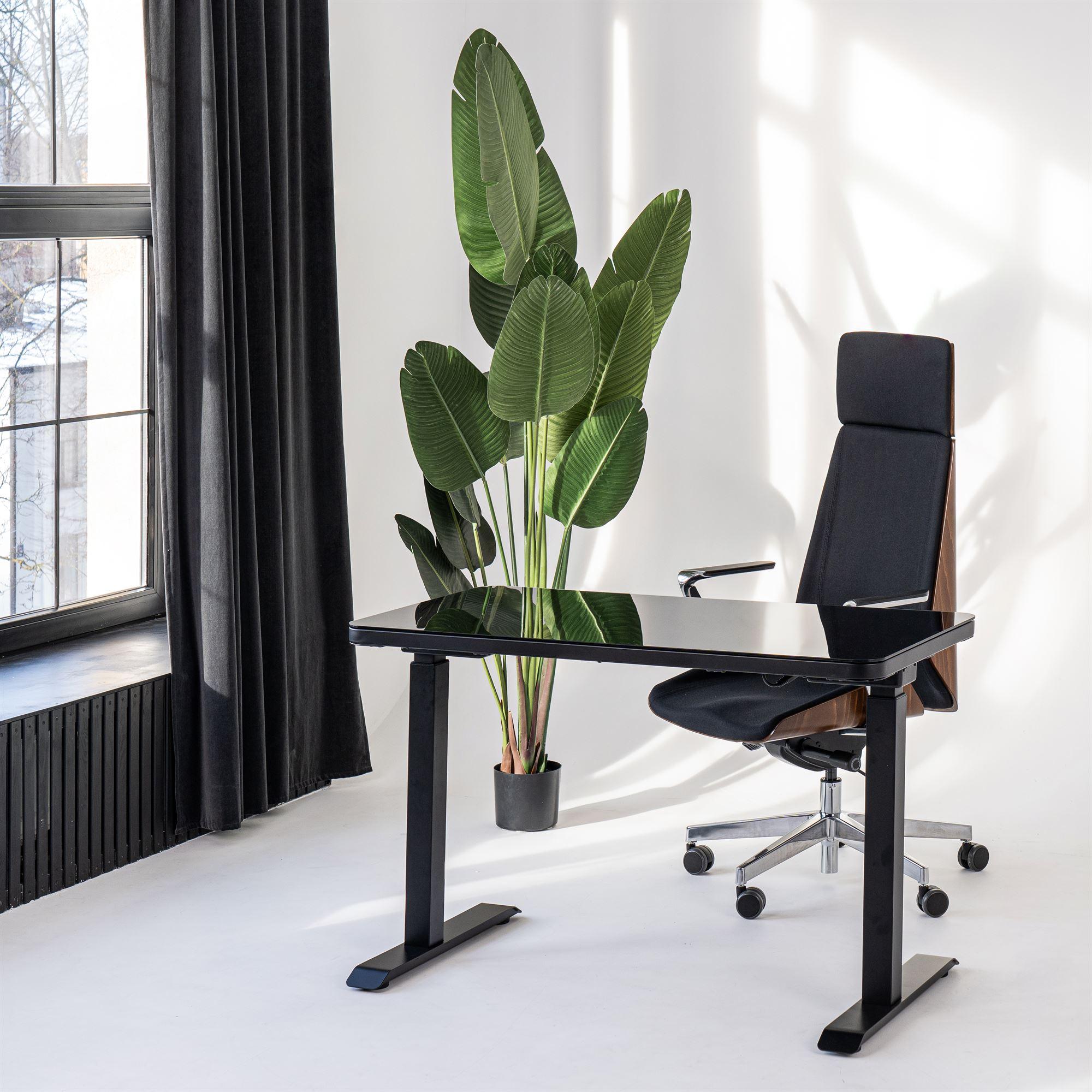 Elektriski augstumā regulējams multifunkcionāls galds Home Line-Ergostock