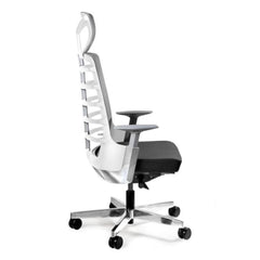 Biroja krēsls SPINELLY - Ergostock.lv