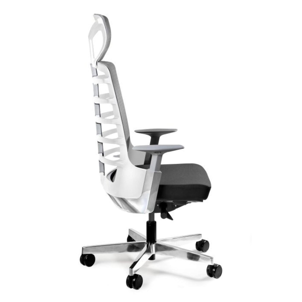 Biroja krēsls SPINELLY - Ergostock.lv