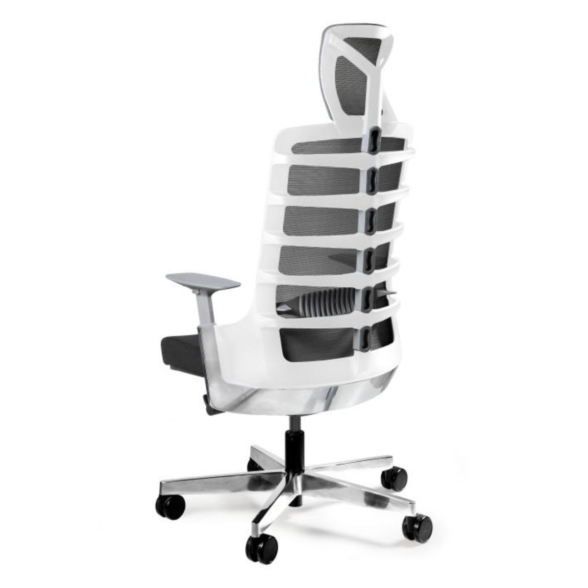 Biroja krēsls SPINELLY - Ergostock.lv