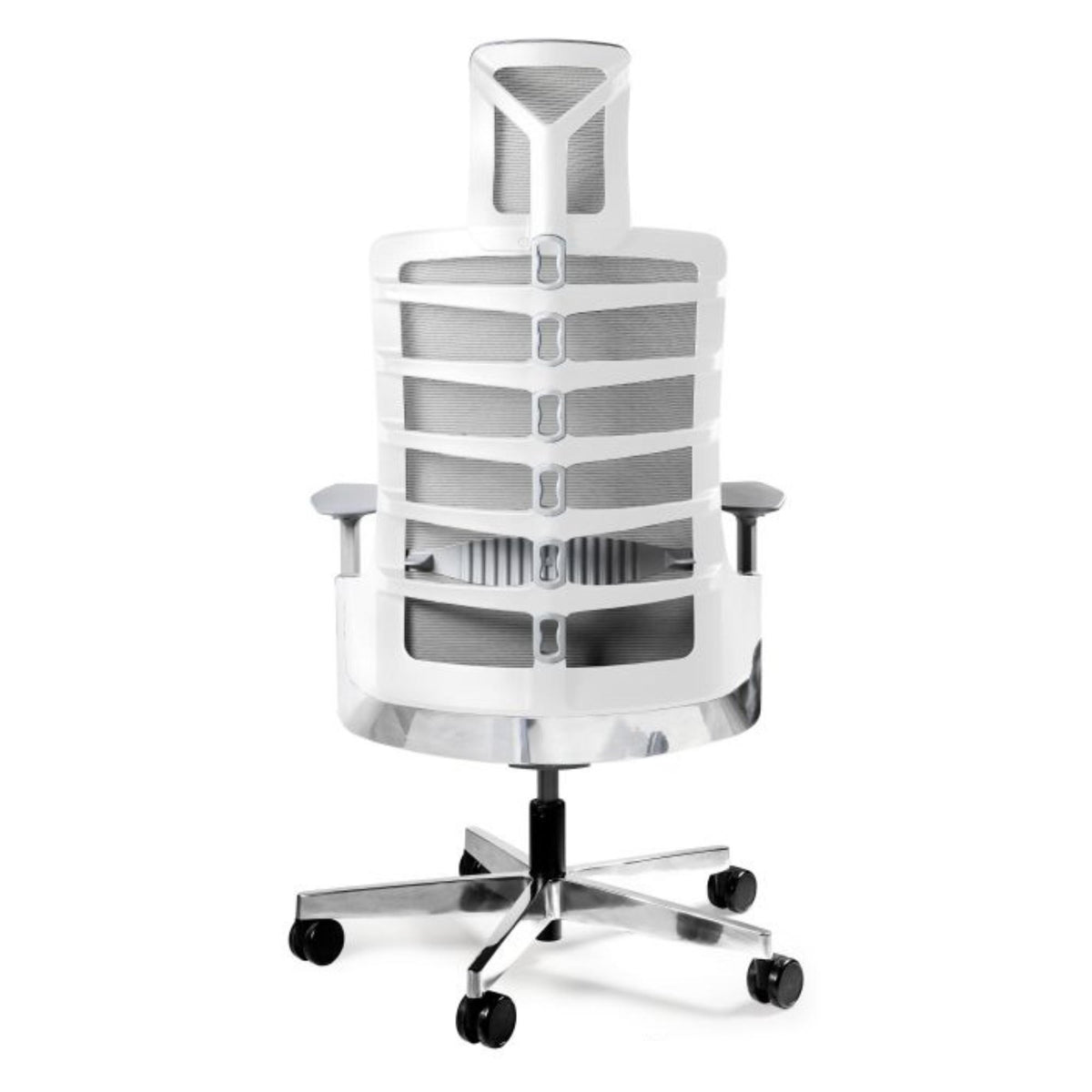 Biroja krēsls SPINELLY - Ergostock.lv