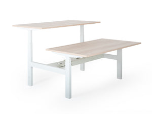 Elektriski augstumā regulējams galds Prestige Line DUO-Ergostock