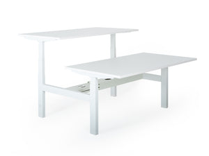 Elektriski augstumā regulējams galds Prestige Line DUO-Ergostock