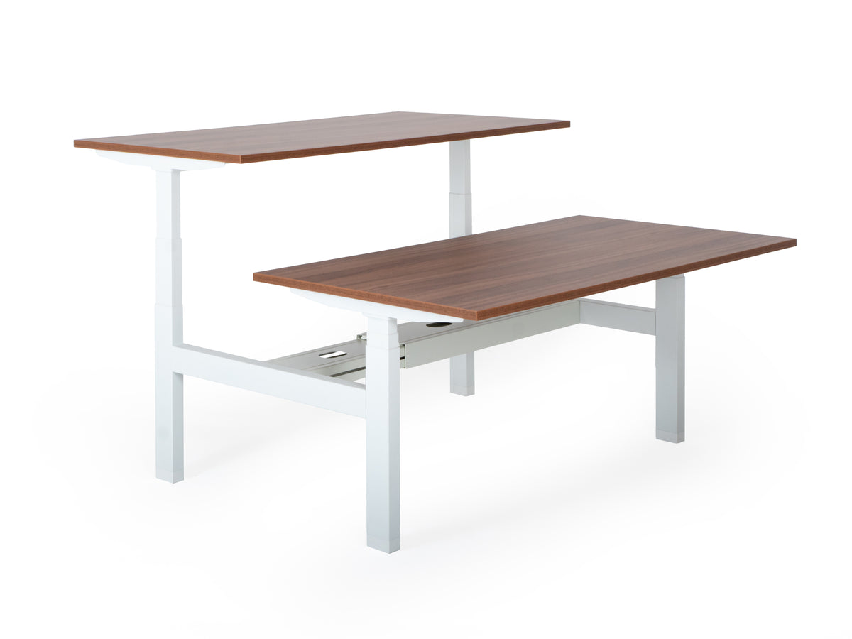 Elektriski augstumā regulējams galds Prestige Line DUO-Ergostock