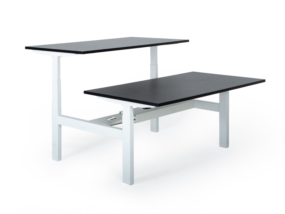 Elektriski augstumā regulējams galds Prestige Line DUO-Ergostock