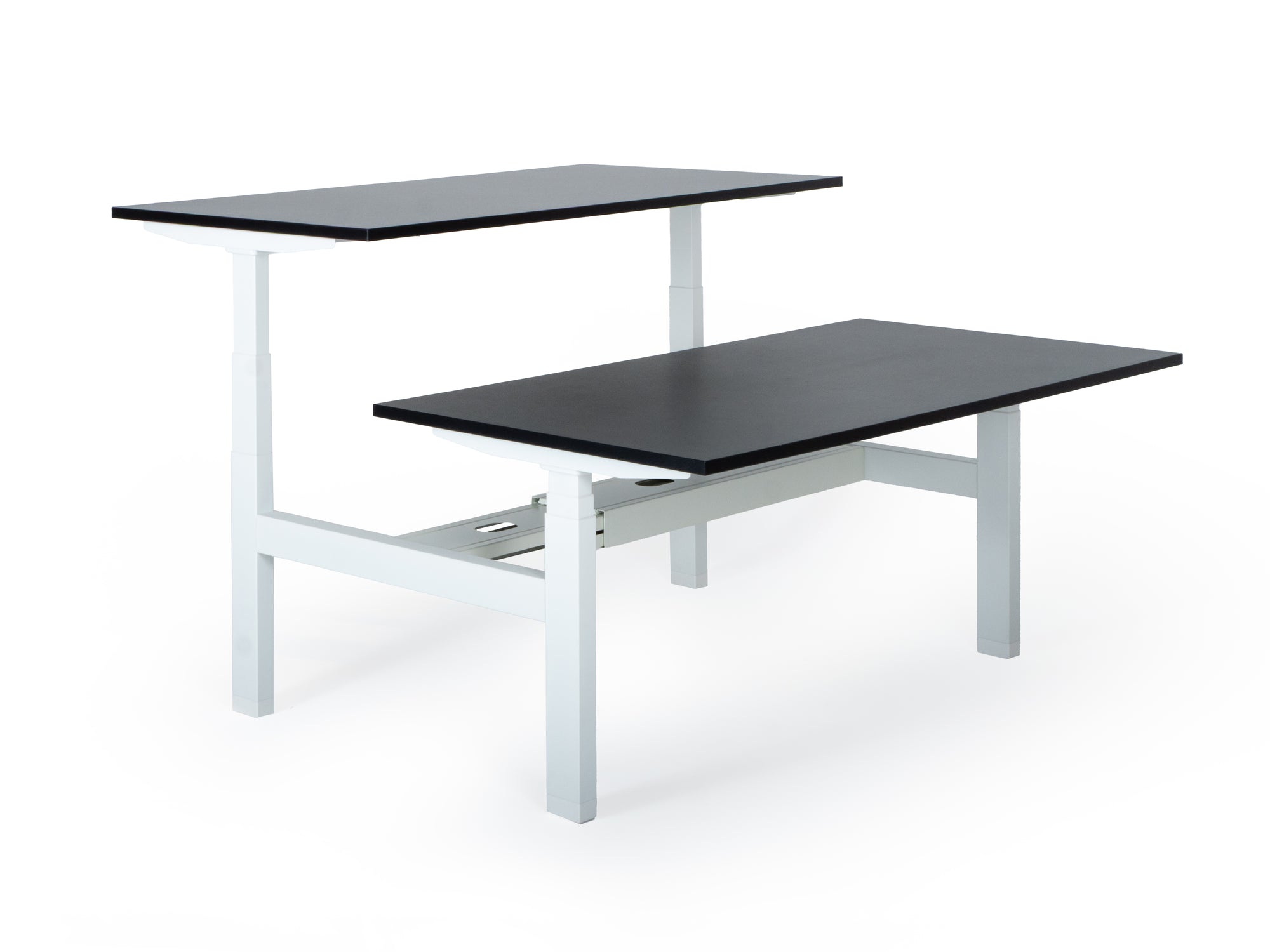 Elektriski augstumā regulējams galds Prestige Line DUO-Ergostock