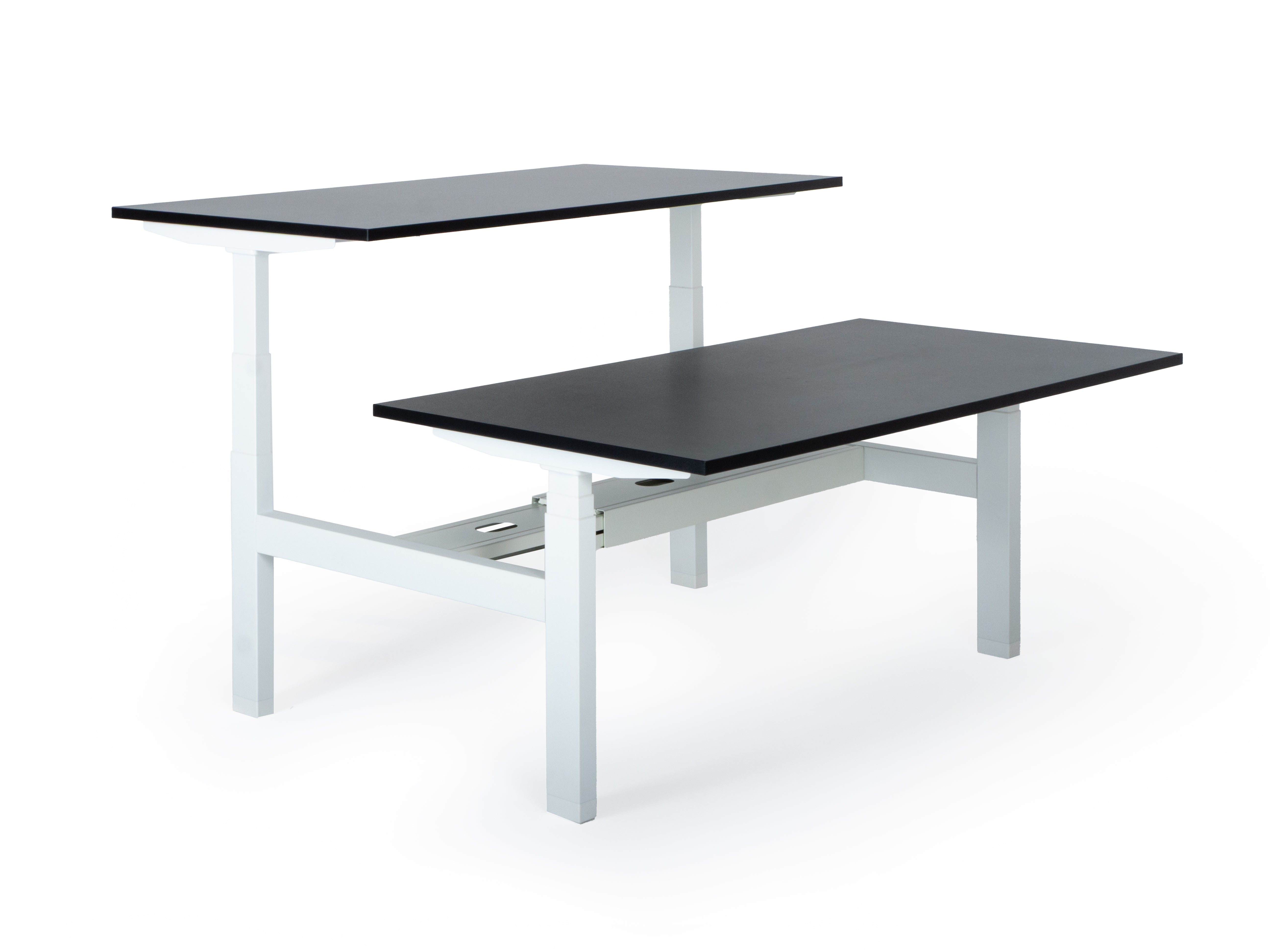 Elektriski augstumā regulējams galds Prestige Line DUO-Ergostock