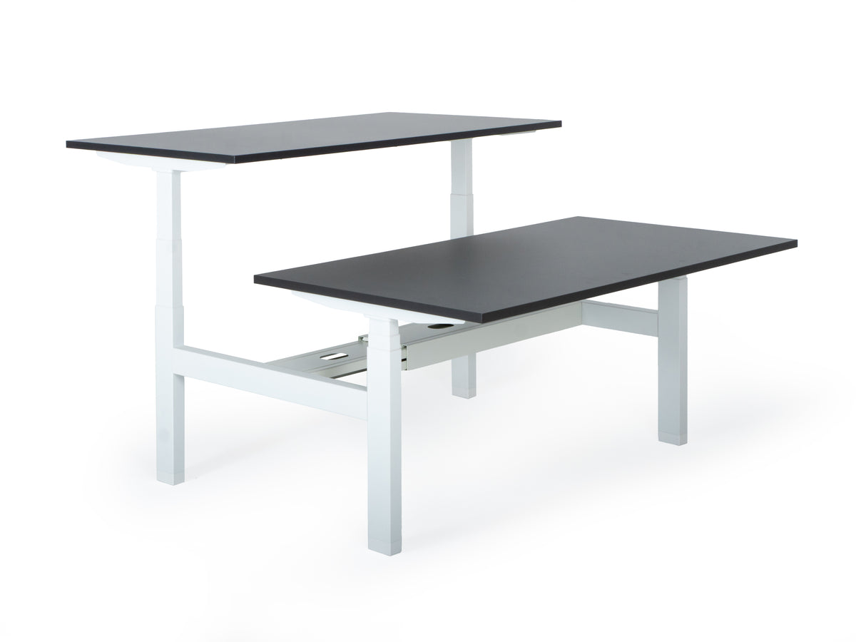 Elektriski augstumā regulējams galds Prestige Line DUO-Ergostock