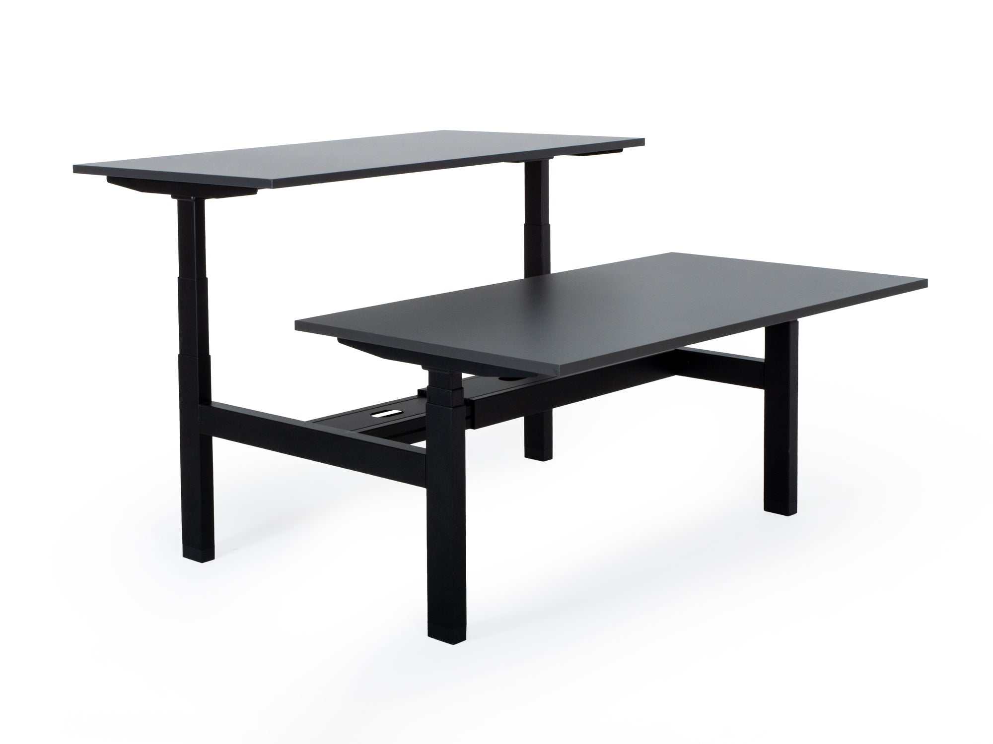 Elektriski augstumā regulējams galds Prestige Line DUO-Ergostock