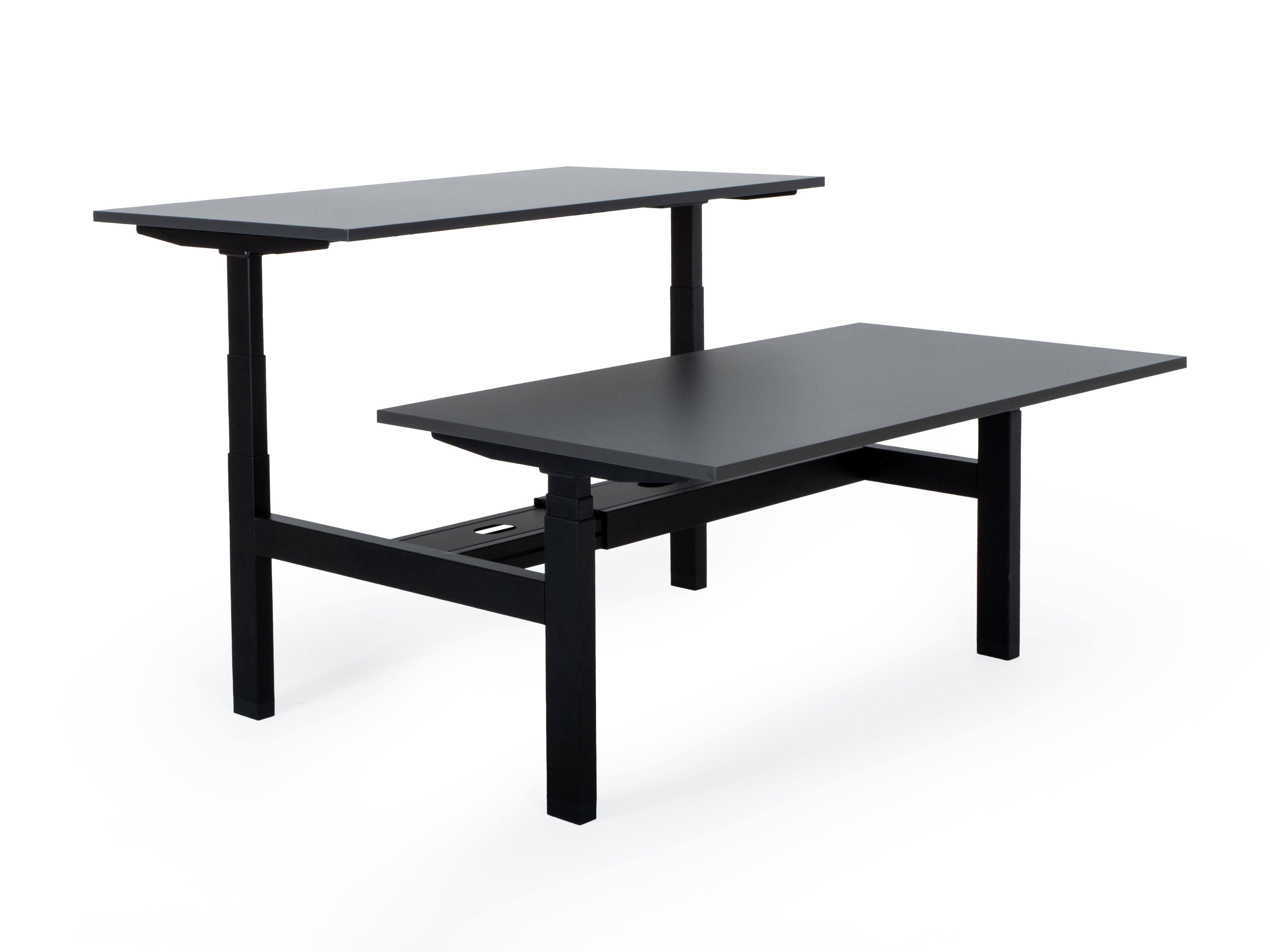 Elektriski augstumā regulējams galds Prestige Line DUO-Ergostock