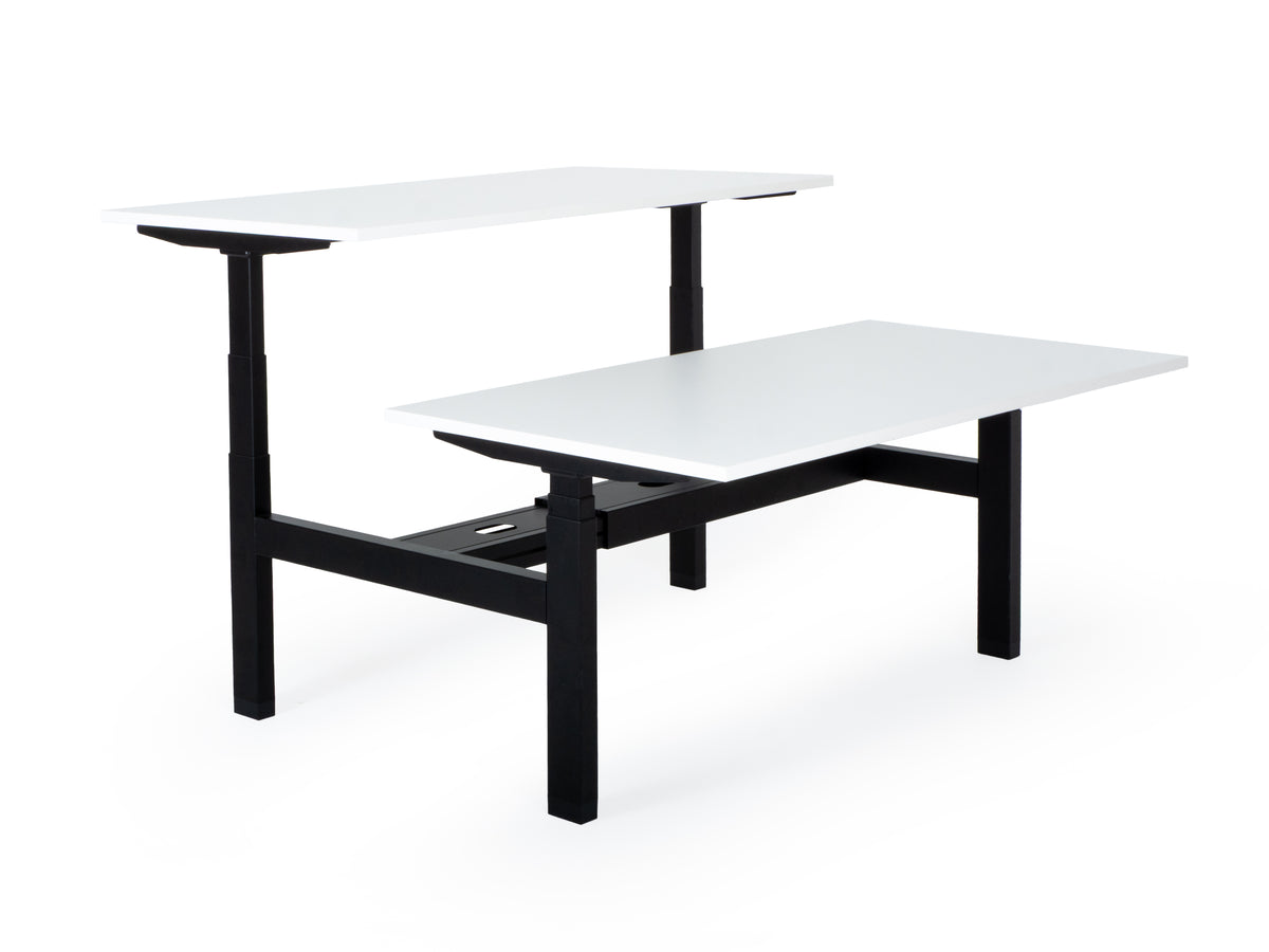 Elektriski augstumā regulējams galds Prestige Line DUO-Ergostock