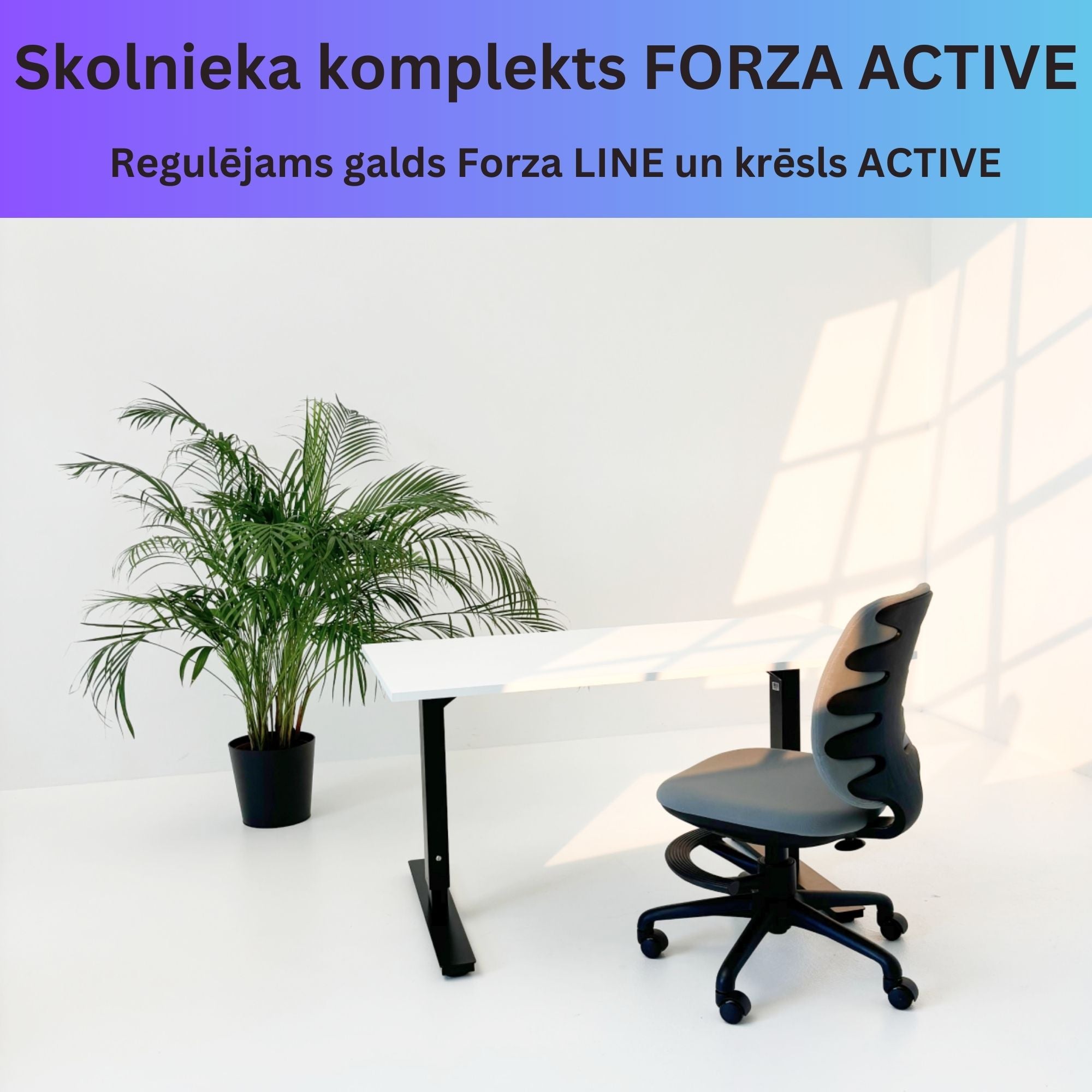 Skolnieka komplekts FORZA Active - Ergostock.lv