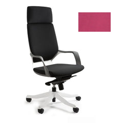 Biroja krēsls APOLLO - Ergostock.lv