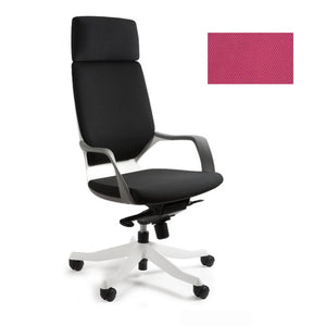 Biroja krēsls APOLLO - Ergostock.lv