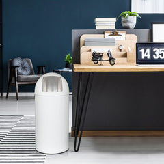 Atkritumu tvertne PUSH White 50 L