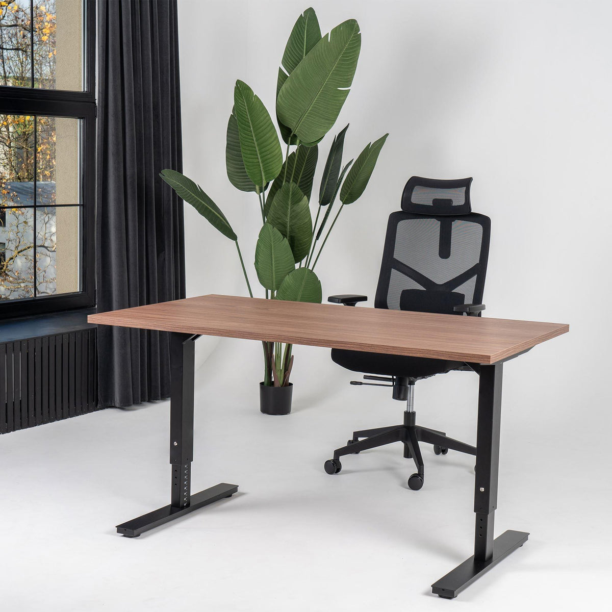 Biroja galds Forza Line, regulējams augstums – Riekstkoks / Melna / 120 x 65