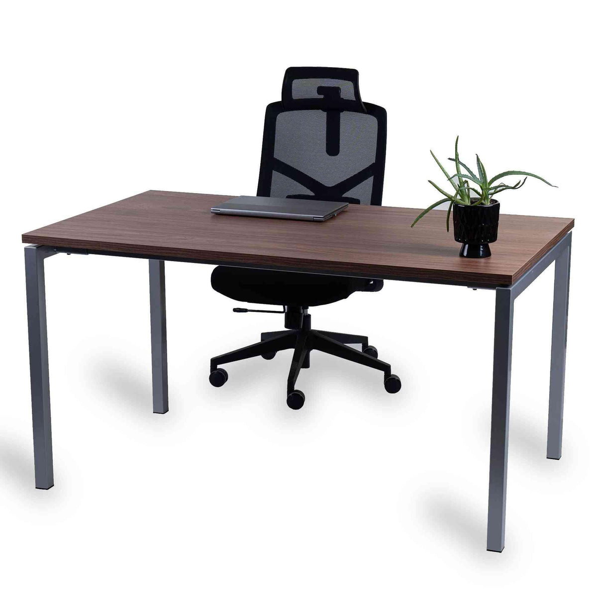 Biroja galds Office Line – Riekstkoks / Sudraba / 120 x 80 cm