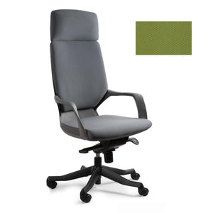 Biroja krēsls APOLLO-Ergostock