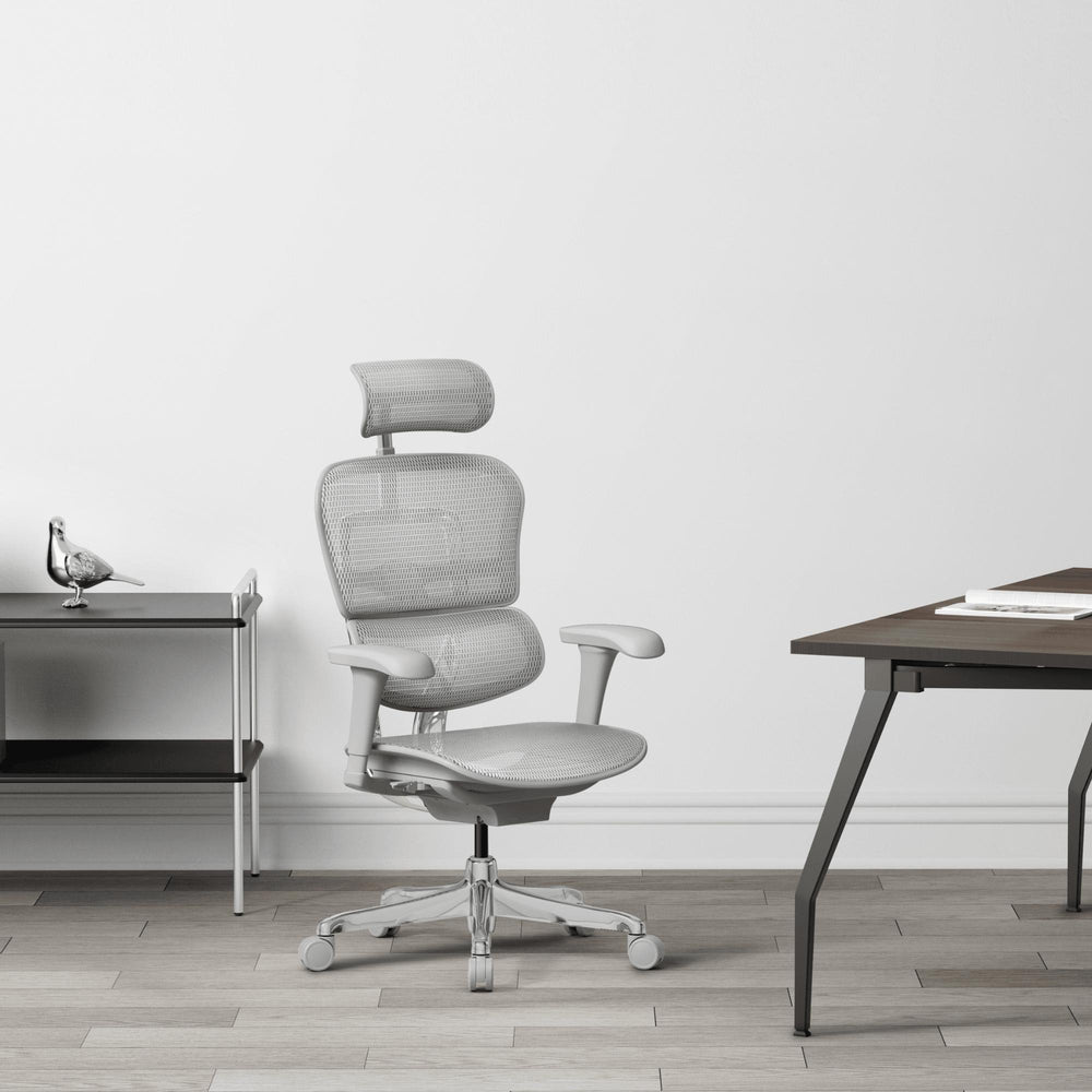 Biroja krēsls Ergohuman 2 - Ergostock.lv