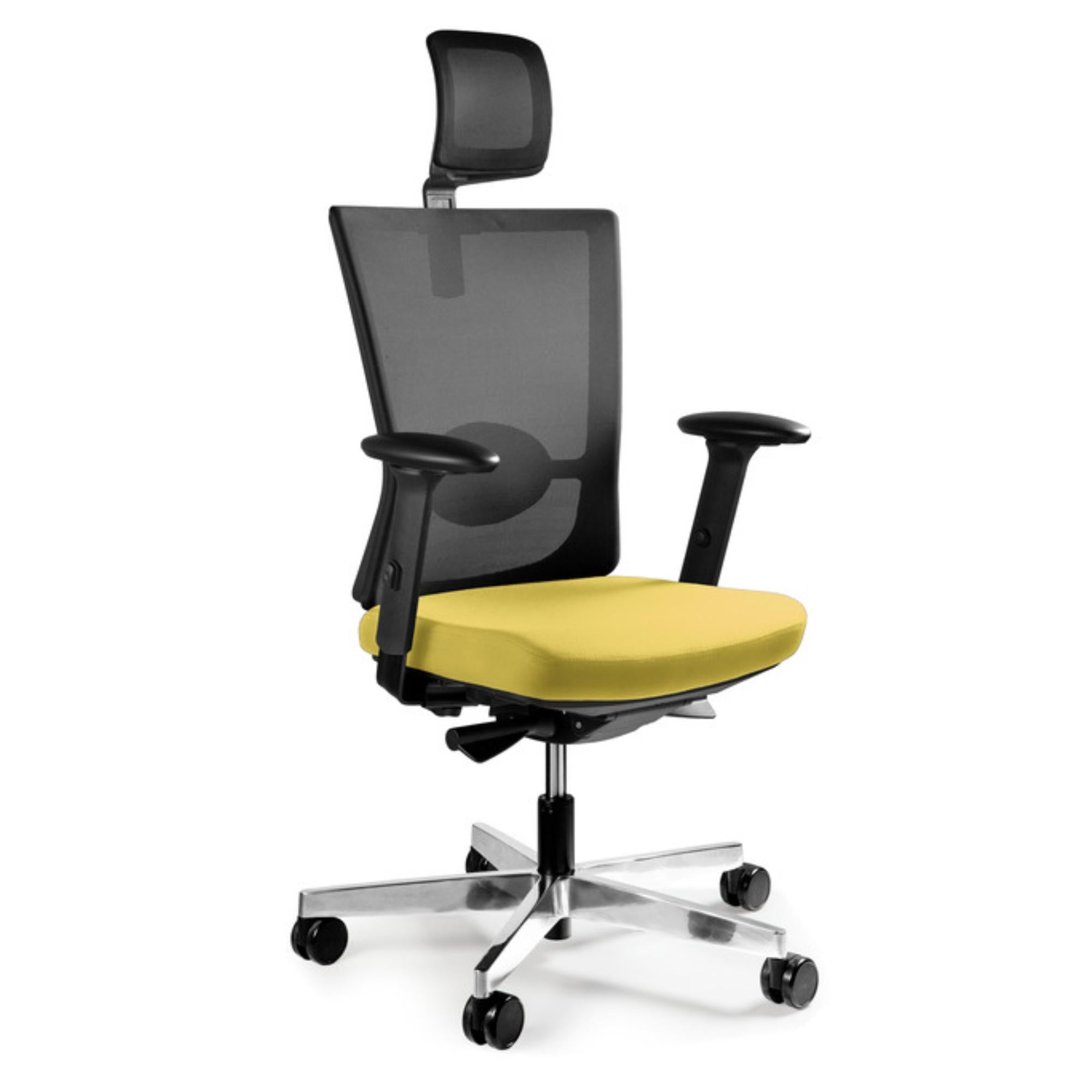 Biroja krēsls FORTE - Ergostock.lv