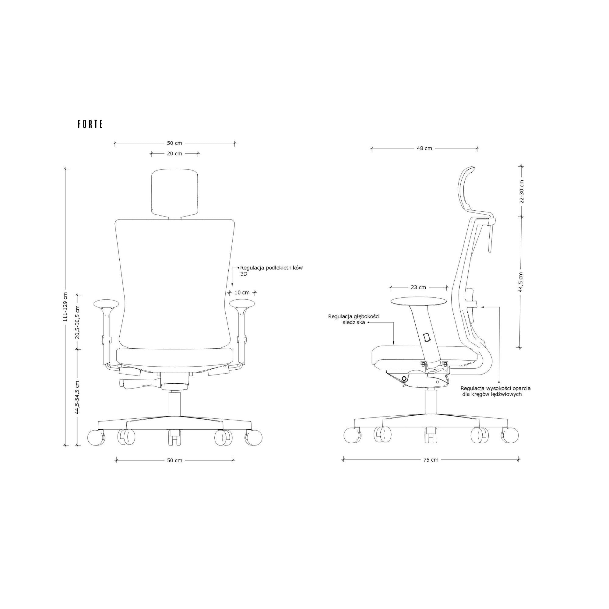 Biroja krēsls FORTE - Ergostock.lv