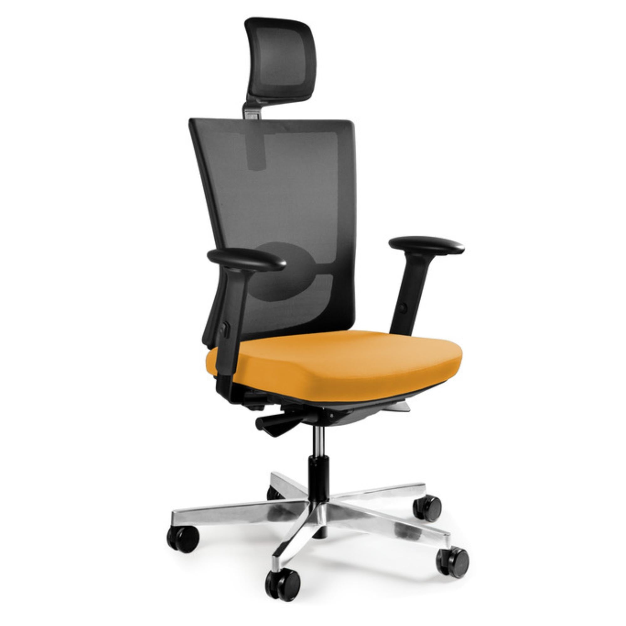 Biroja krēsls FORTE - Ergostock.lv