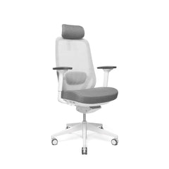 Biroja krēsls GLORY, ar papildu elementiem - Ergostock.lv