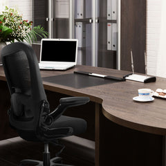 Biroja krēsls INSTRUCTOR SW I - XXL, līdz 220 kg