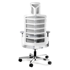 Biroja krēsls SPINELLY - Ergostock.lv