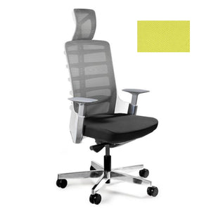 Biroja krēsls SPINELLY-Ergostock