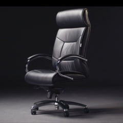 Biroja krēsls Supreme Chrome Leather Melns FD - Ergostock.lv