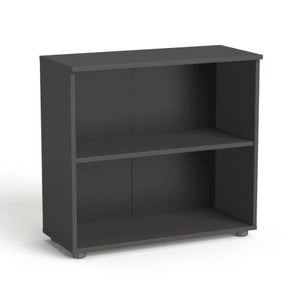 Biroja skapis Flexx, ar 2 plauktiem, 742 x 800 x 355 mm - Ergostock.lv