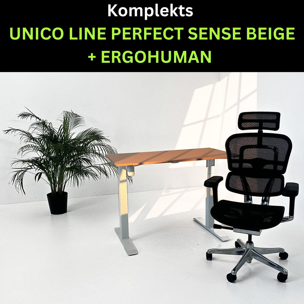Darba vietas komplekts UNICO PERFECT SENSE BEIGE Ergohuman ELITE