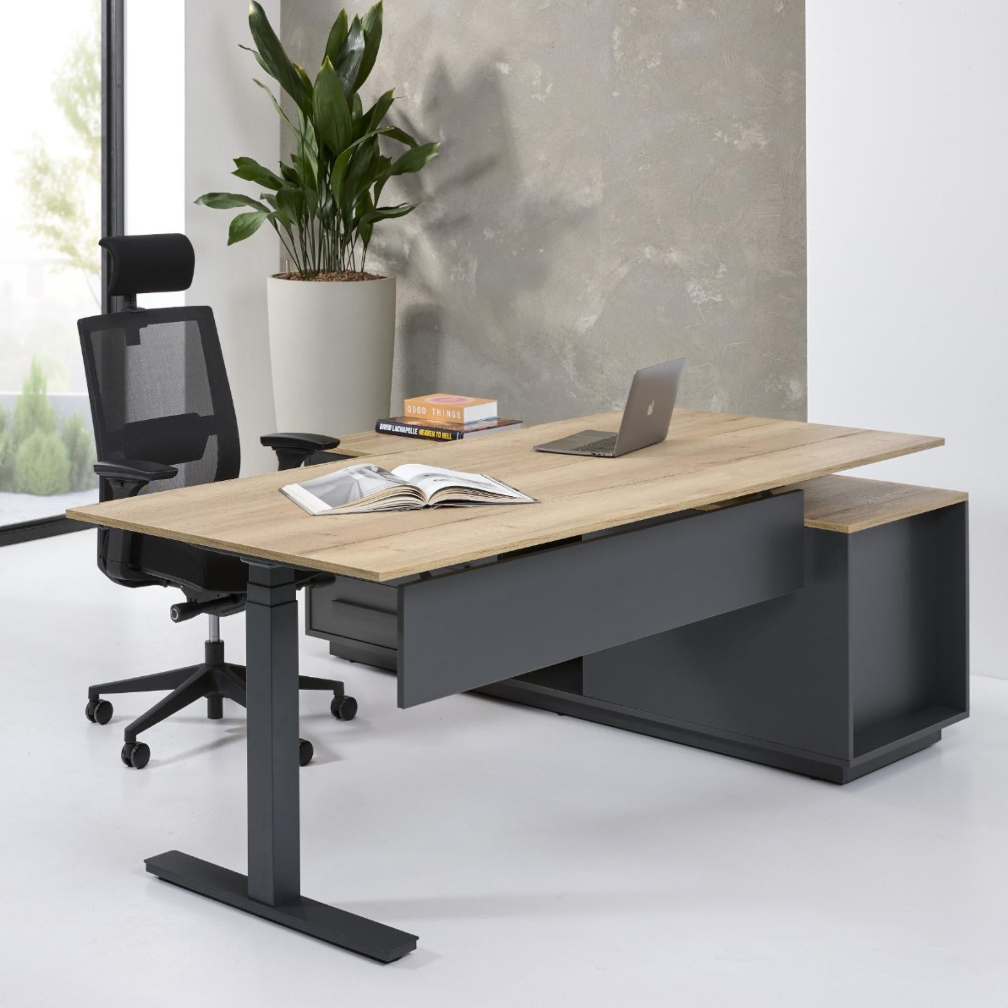 Elektriski augstumā regulējama galda komplekts Executive - Ergostock.lv