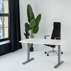 Elektriski augstumā regulējams galds Flexx Line-120 x 80-Sudraba-Ergostock