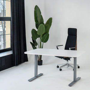 Elektriski augstumā regulējams galds Flexx Line-120 x 80-Sudraba-Ergostock