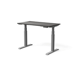 Elektriski augstumā regulējams galds MOVE PRO II, galda virsmas krāsa Antracīts, galda statīva tonis Sudraba, izmērs 120 x 65 cm