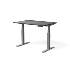 Elektriski augstumā regulējams galds MOVE PRO II, galda virsmas krāsa Antracīts, galda statīva tonis Sudraba, izmērs 120 x 80 cm