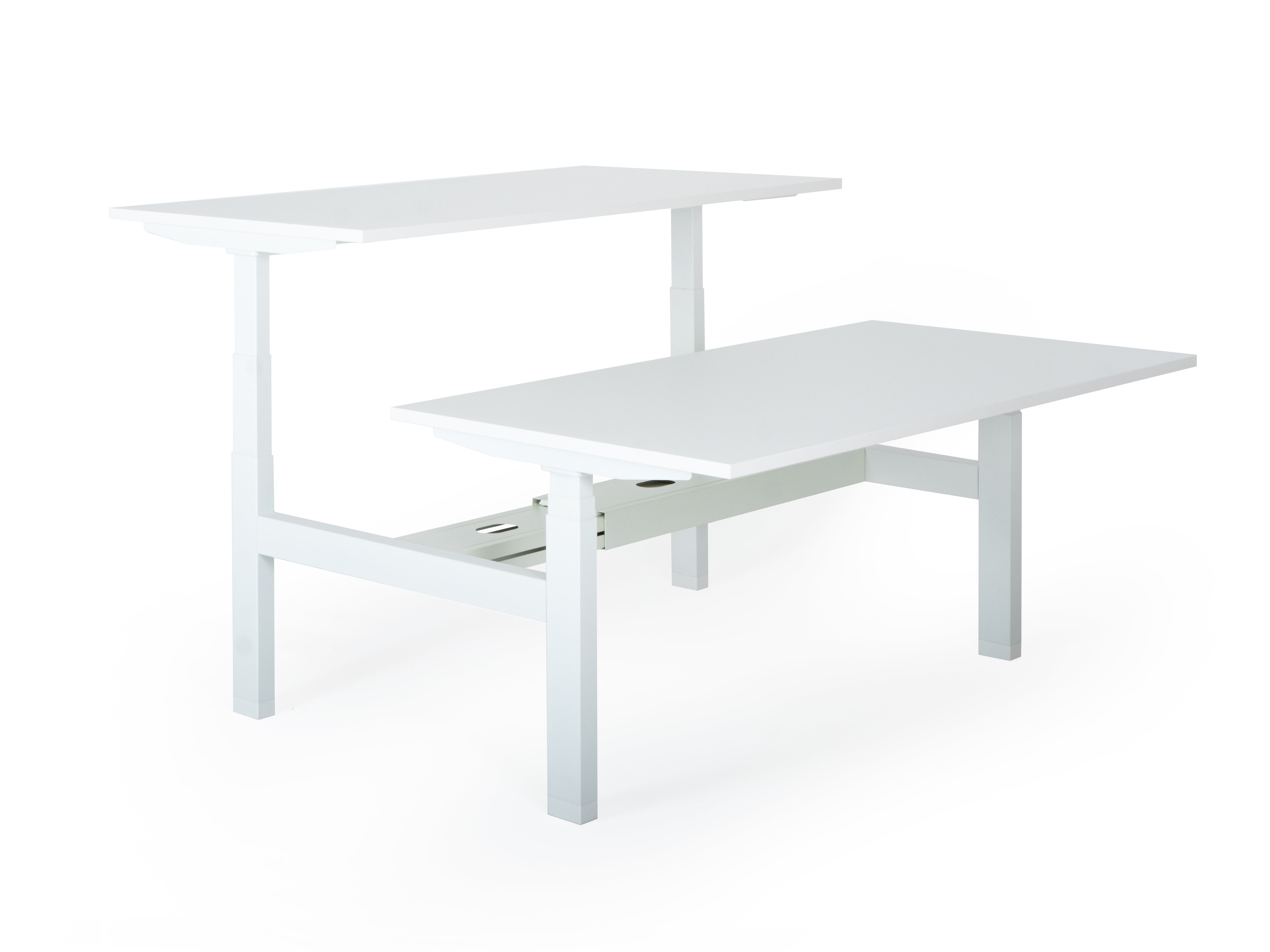 Elektriski augstumā regulējams galds Prestige Line DUO, balts statīvs un balta virsma