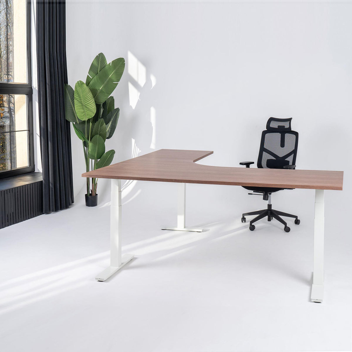 Elektriski augstumā regulējams galds Prestige Line L forma 200 cm x 200 cm