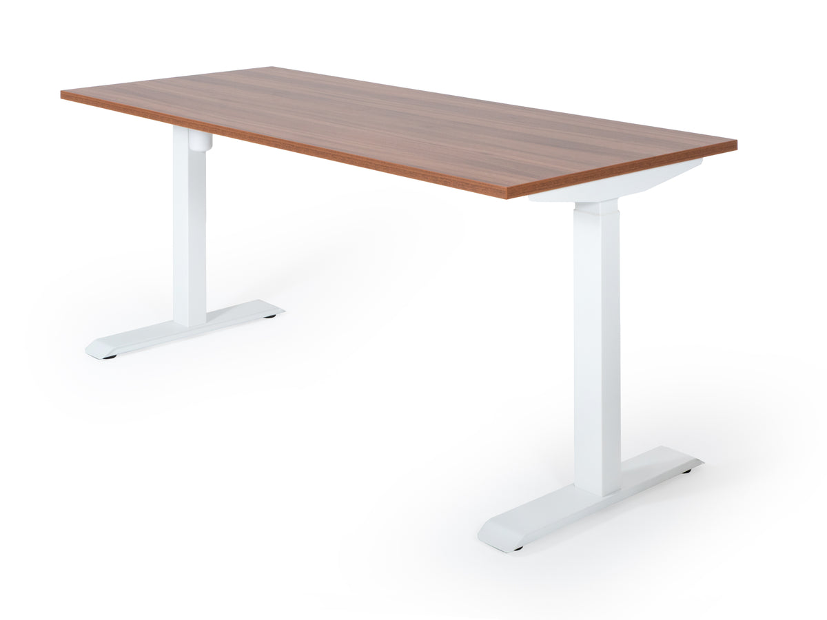 Elektriski augstumā regulējams galds Unico Line – Riekstkoks / Balta / 120 x 80