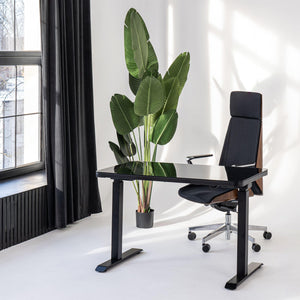 Elektriski augstumā regulējams multifunkcionāls galds Home Line melns, interkera bilde ar biroja krēslu
