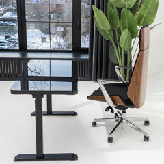 Elektriski augstumā regulējams multifunkcionāls galds Home Line-Ergostock