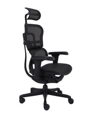 Biroja krēsls Ergohuman 2 Ultra ST BS Black