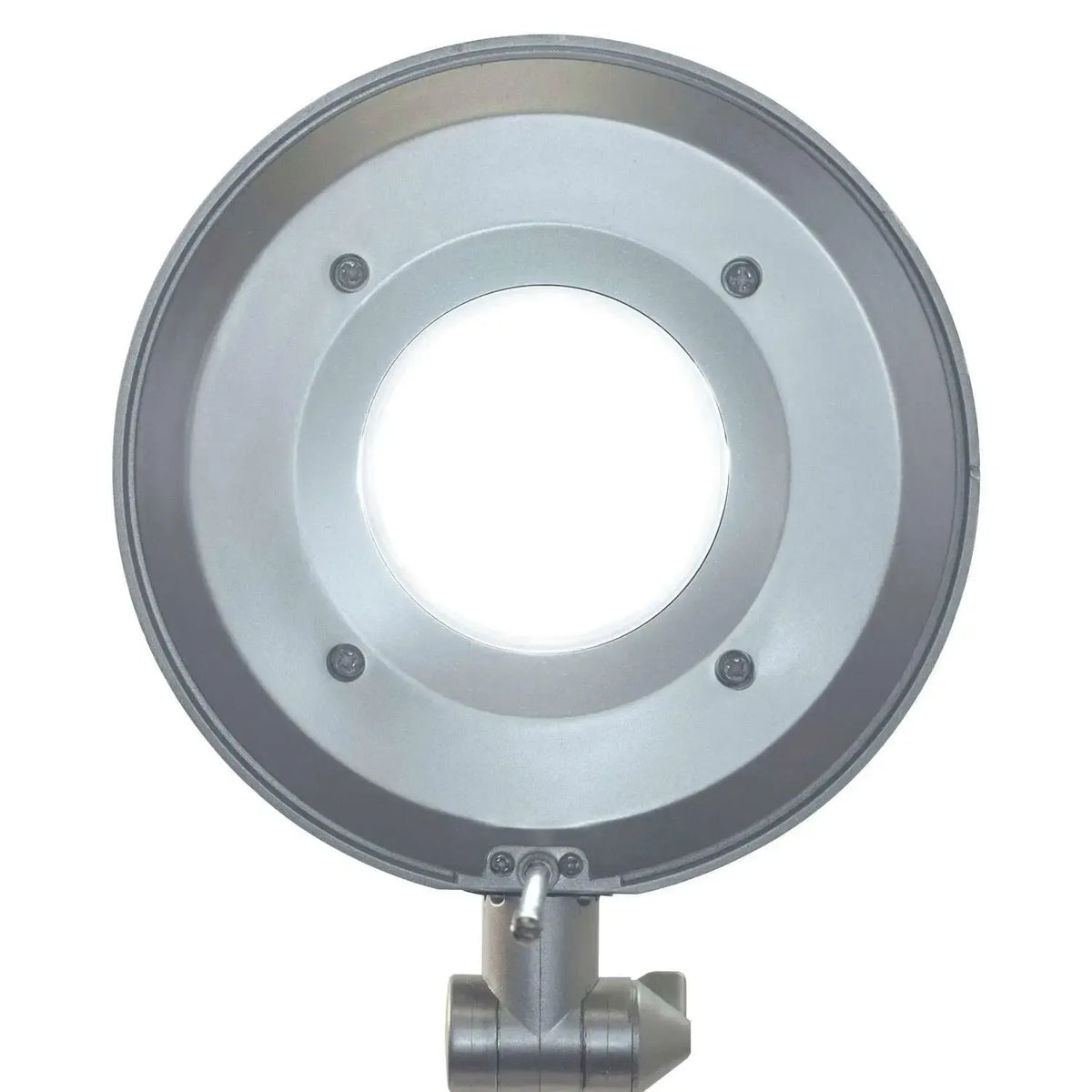 Galda lampa MAULbusiness, LED