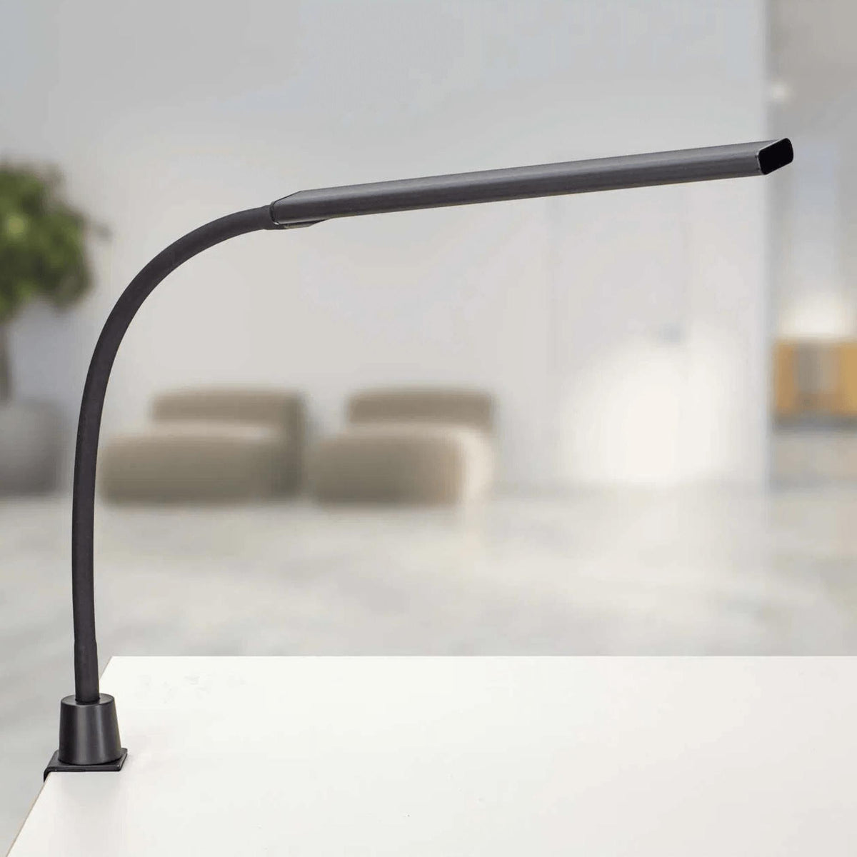 Galda lampa MAULpirro, LED - Ergostock.lv