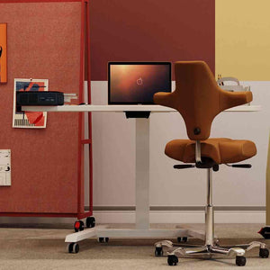 Galds Wariant ar elektriski regulējamu augstumu-Ergostock